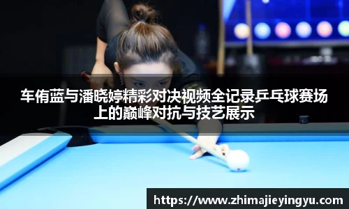 乐鱼电竞平台